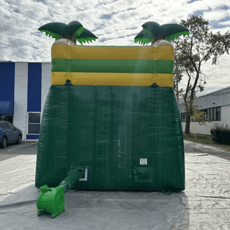 13'H Palm Tree Water Slide Wet n Dry