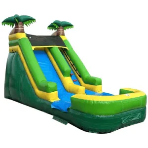 13'H Palm Tree Water Slide Wet n Dry
