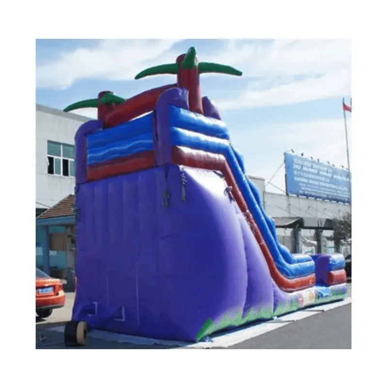 19'H Purple Water Slide Wet n Dry