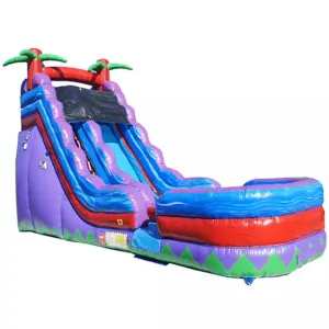 21' Purple Super Wet & Dry Slide
