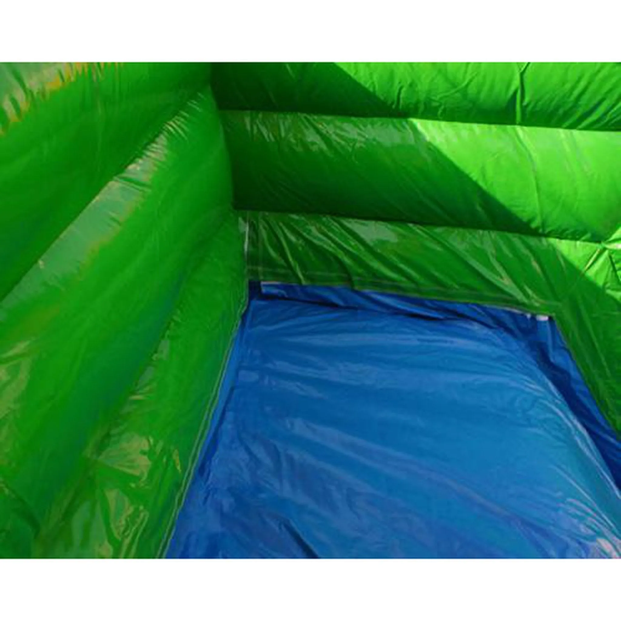 22' Palm Tree Screamer Slide