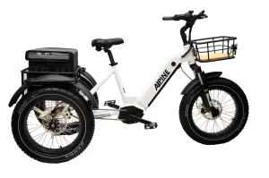 Alpine Commando Electric Mountain Tricycle