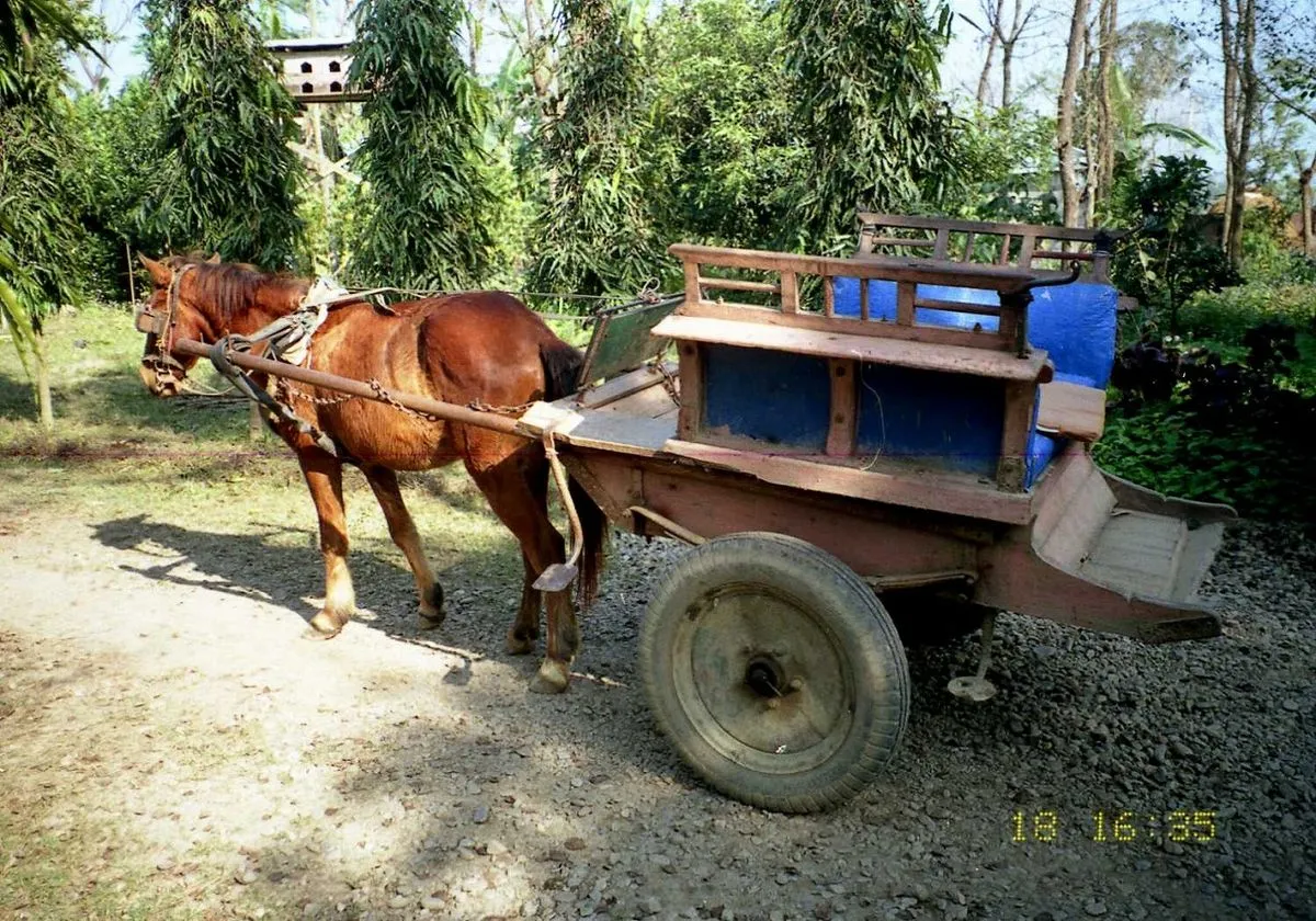 Carriage
