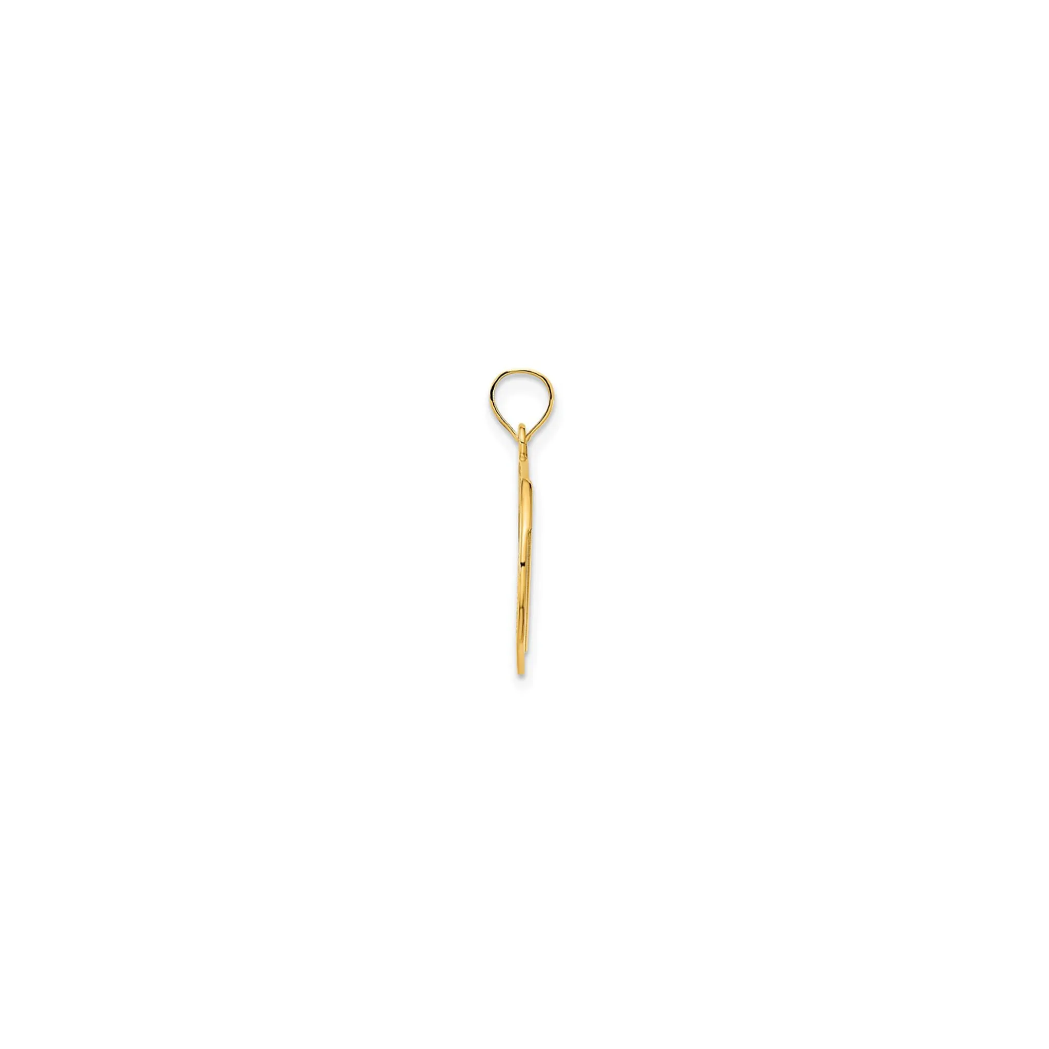 Chill Regal Round Medallion Pendant (14K)