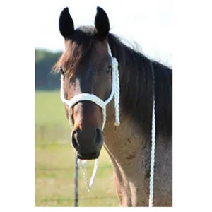 Hand Braided Rope Halter
