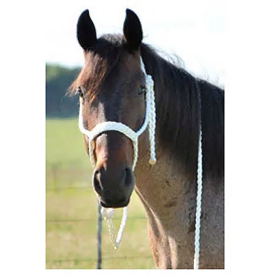 Hand Braided Rope Halter