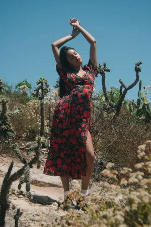 Mary Dress