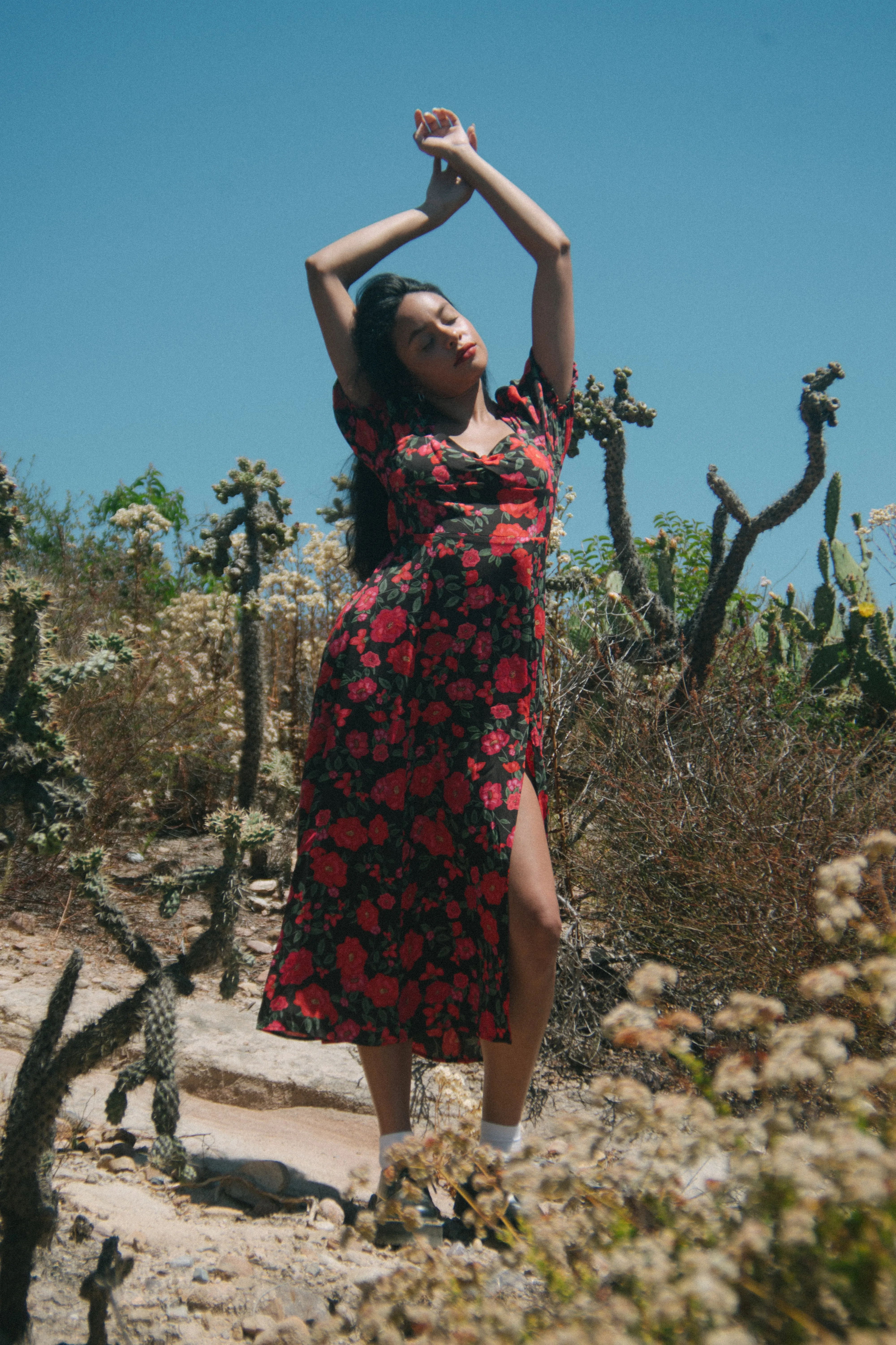 Mary Dress