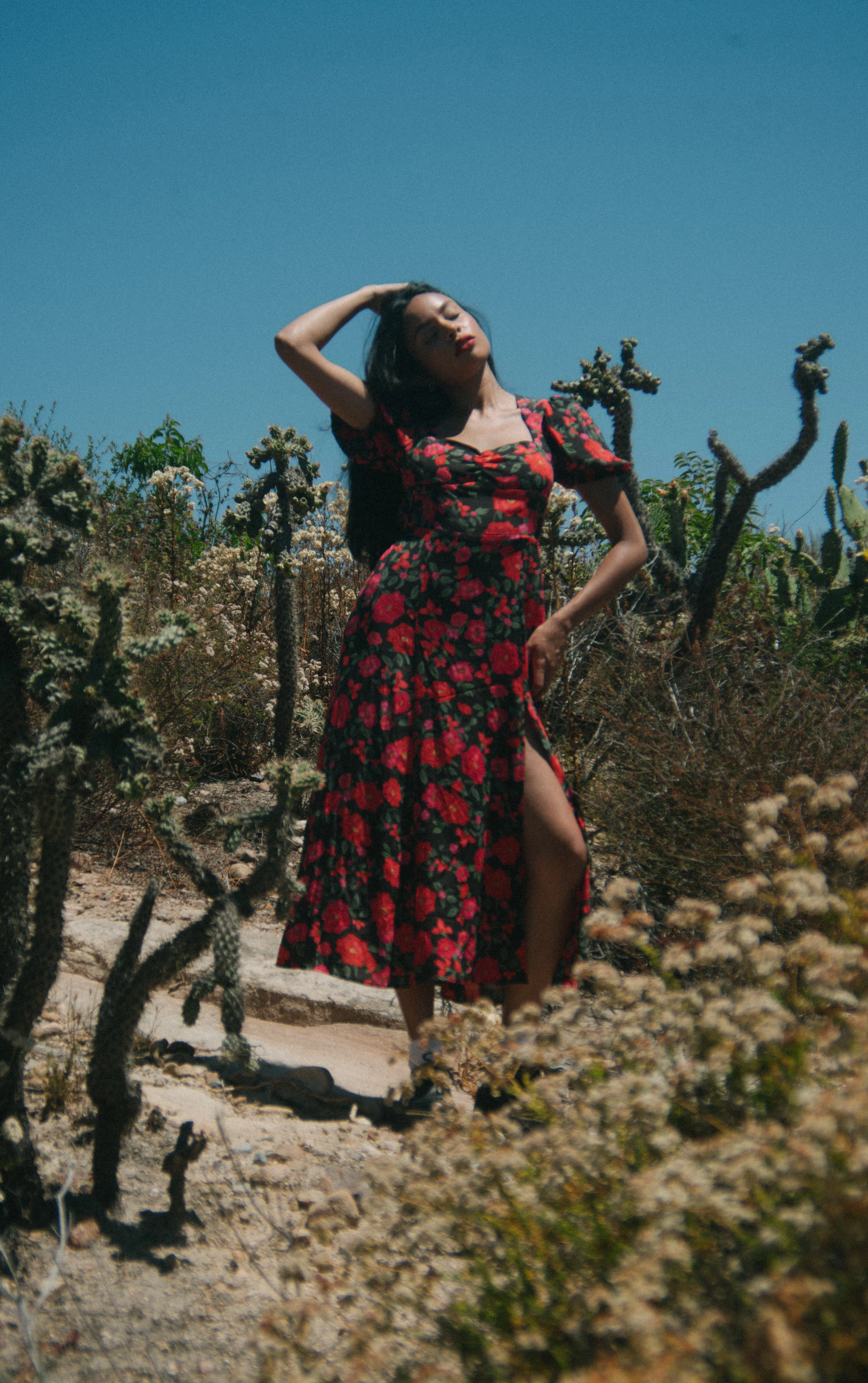 Mary Dress