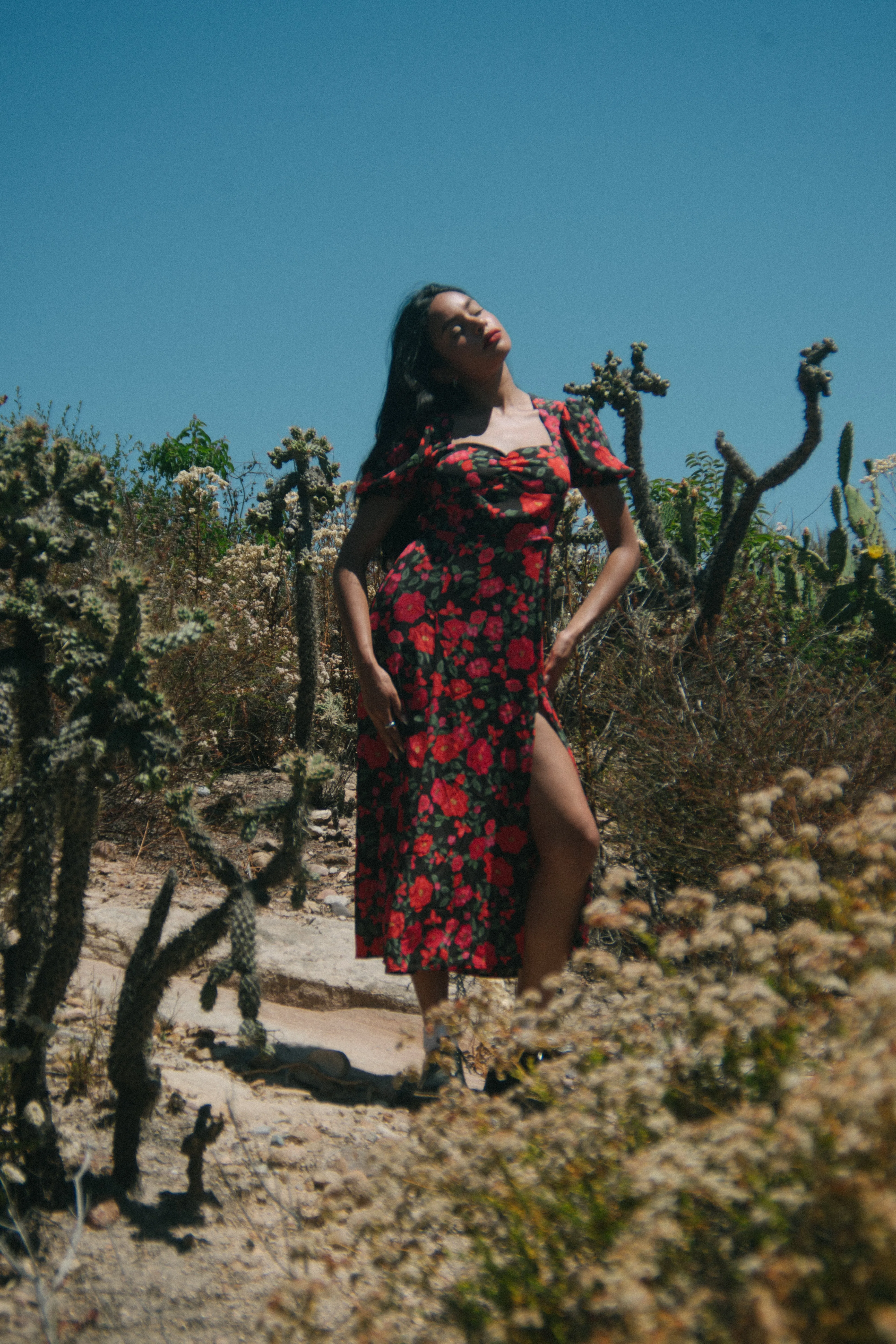 Mary Dress