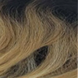 Outre Converti Cap Synthetic Hair Wig - GIMME GLAMOUR