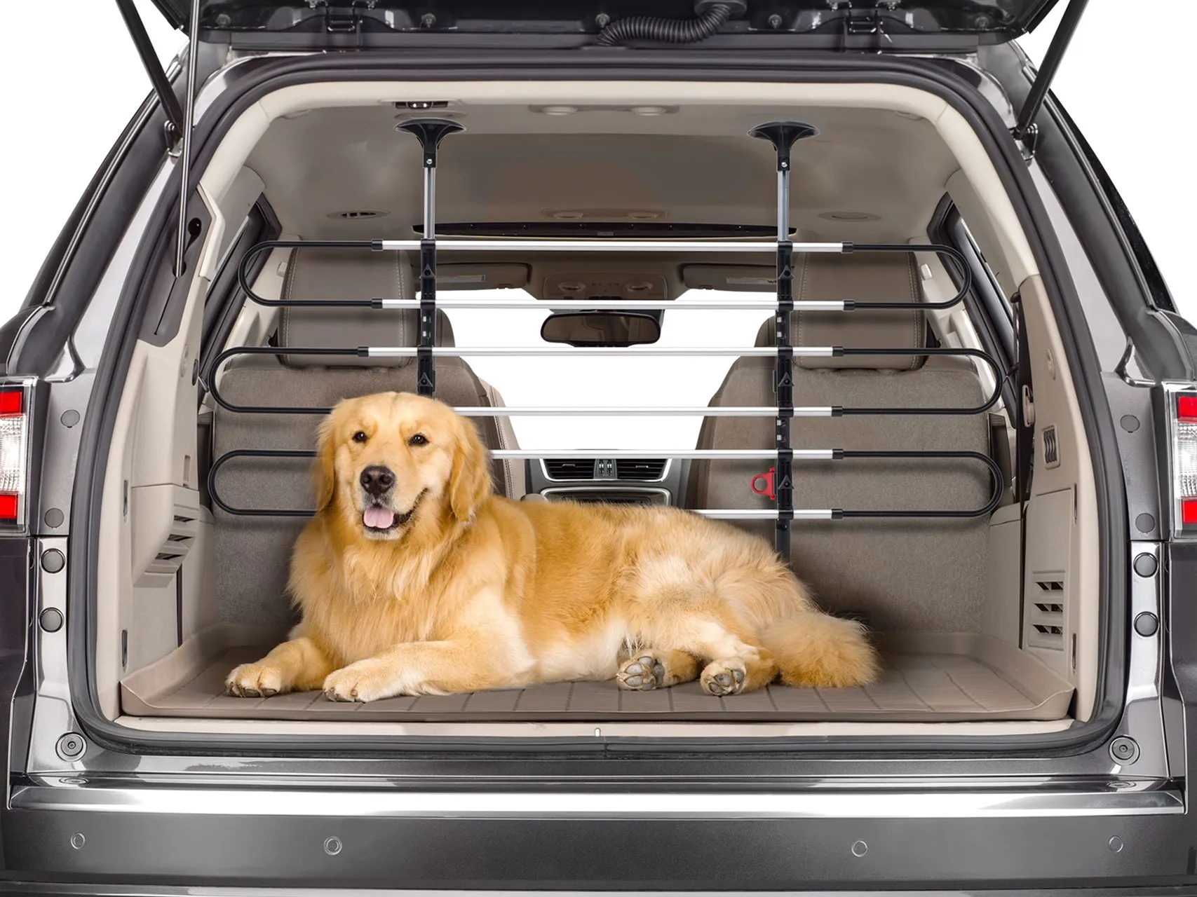 Pet Barrier