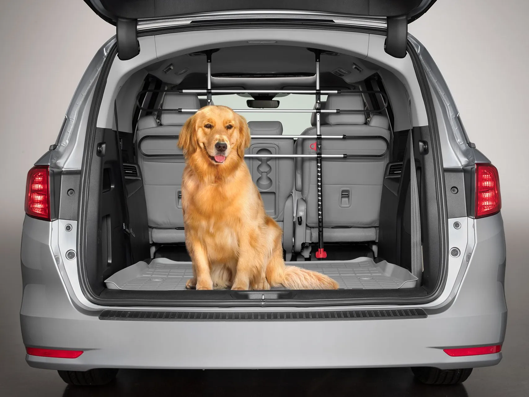 Pet Barrier