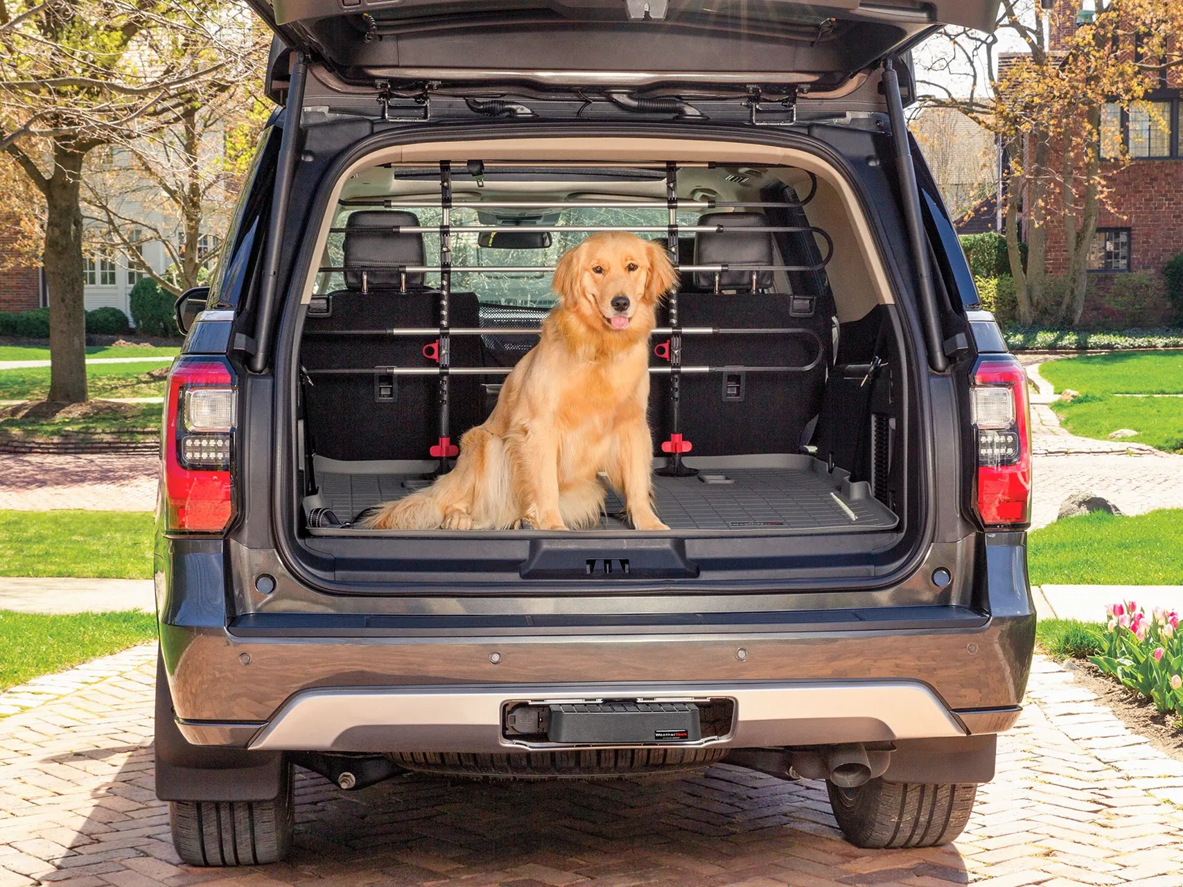 Pet Barrier