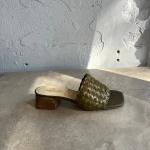 Quait 23026 Olive