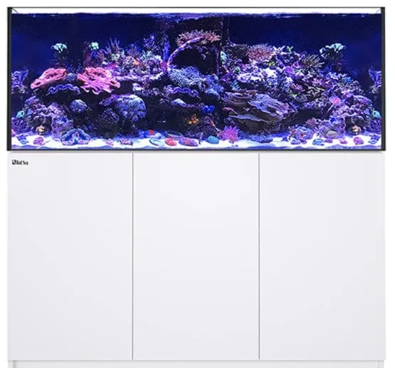 Red Sea Reefer G2 625  Max - White