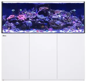 Red Sea Reefer G2 625  Max - White