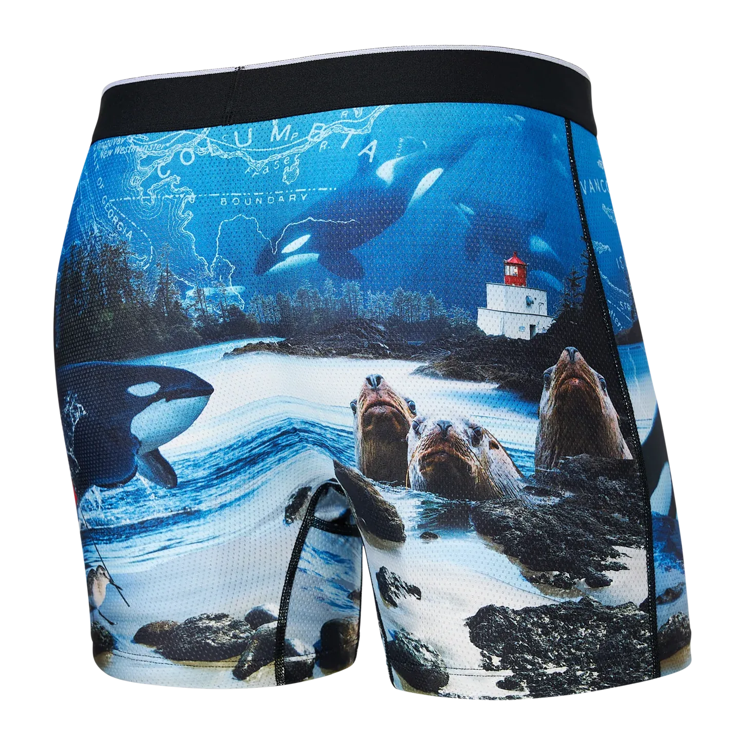 Saxx Volt Underwear - Vancouver Island