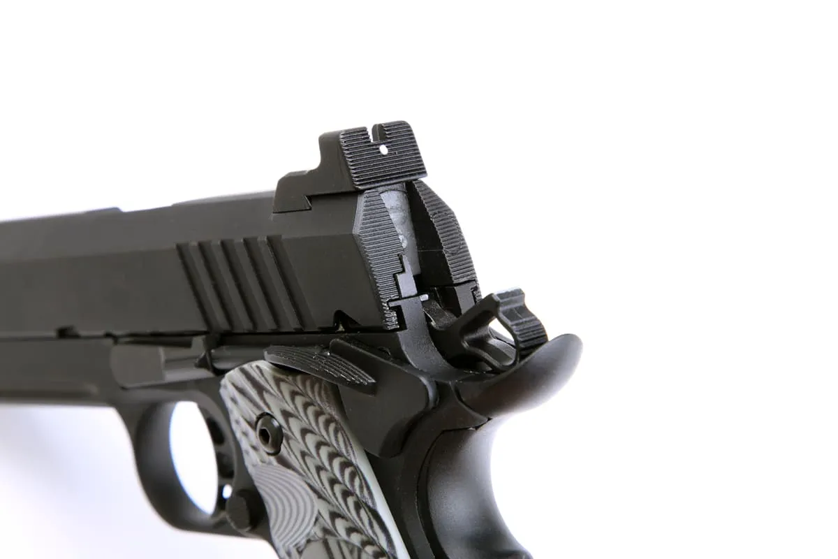 SRC Silent Hawk CO2 - 2023 Special Edition