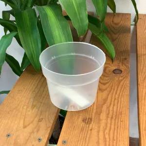 Translucent Orchid Pots