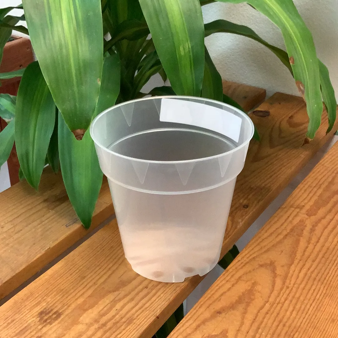 Translucent Orchid Pots