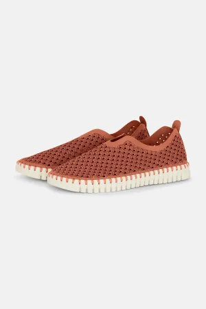 Tulip Skor - Light Brick